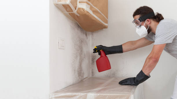 Professional Mold Removal technician working in Olivia, NC