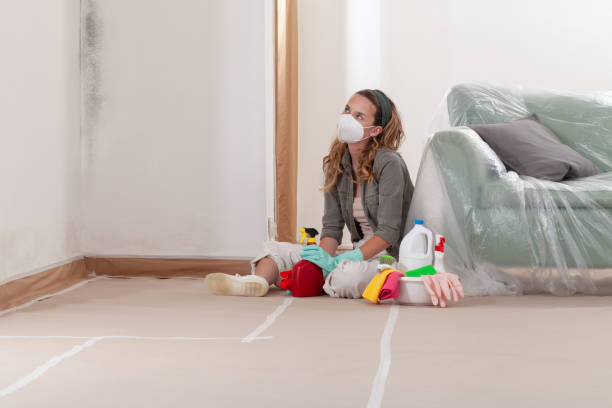 Reliable Mold Removal contractor in Olivia, NC by WQB Mold Removal
